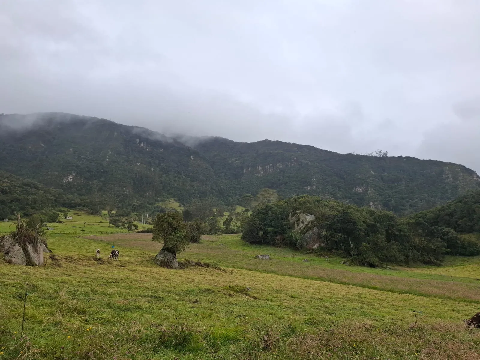 Vendo Terreno en Choachi, Cundinamarca, Colombia. - 6