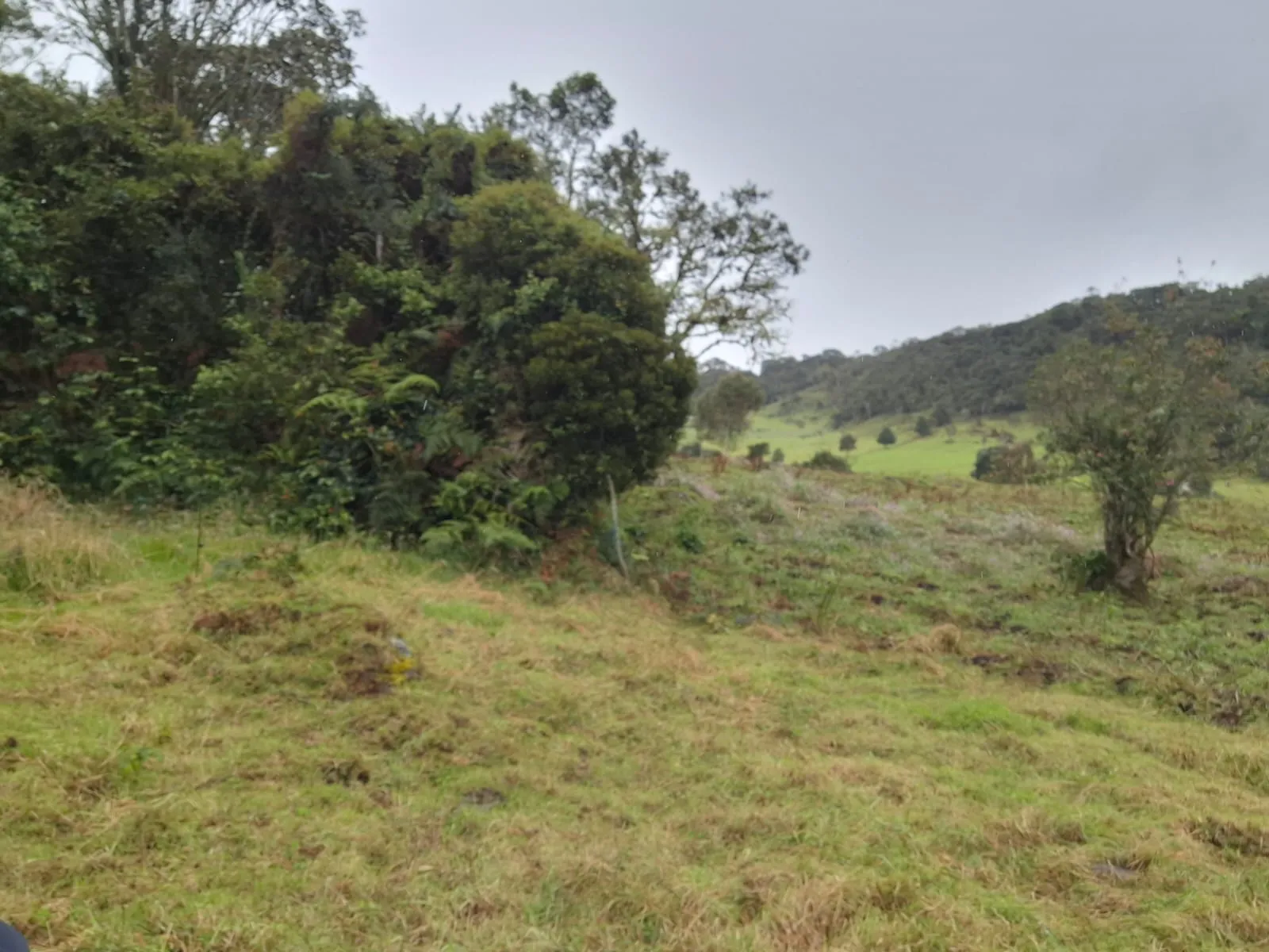 Vendo Terreno en Choachi, Cundinamarca, Colombia. - 4