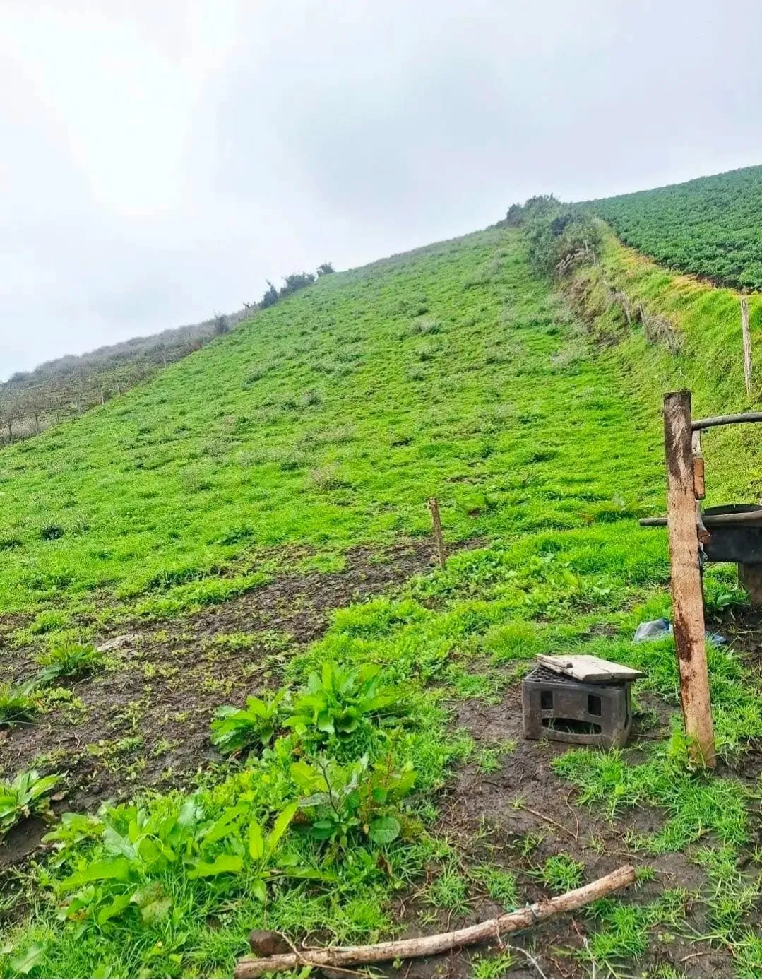 LOTE CAMPESTRE EN VENTA EN VILLAPINZÓN, CUNDINAMARCA — foto 2