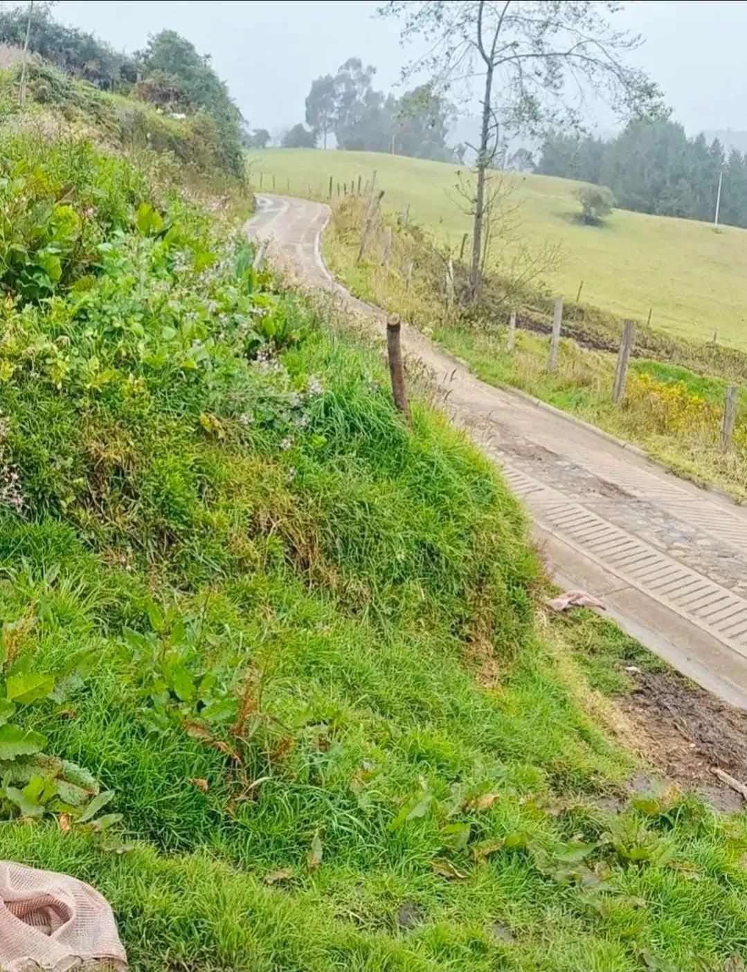 LOTE CAMPESTRE EN VENTA EN VILLAPINZÓN, CUNDINAMARCA — foto 3