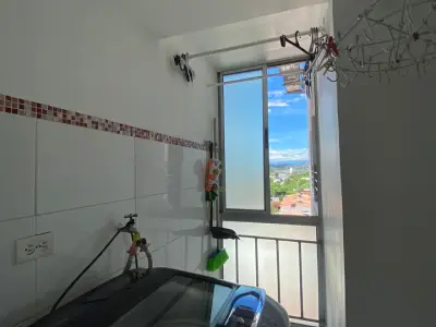 Miniatura 10