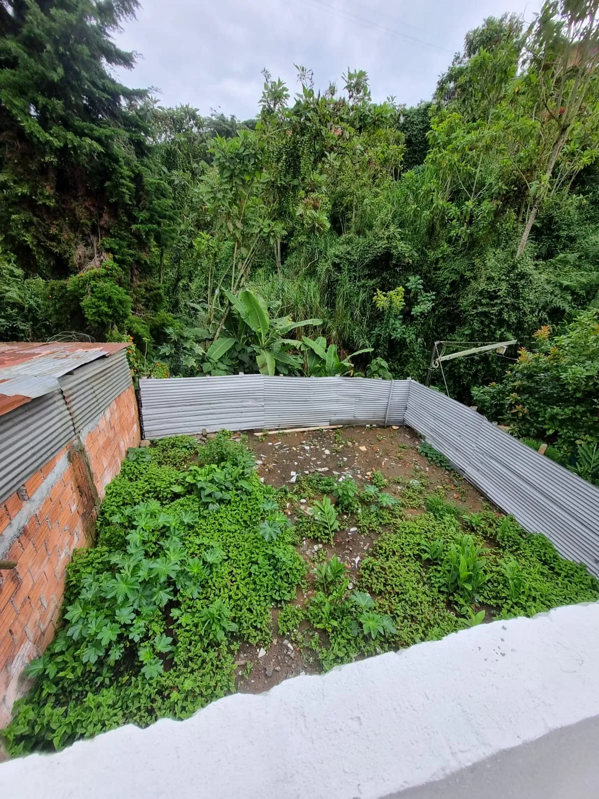 Se vende hermosa casa en Manizales barrio la Asunción — foto 10