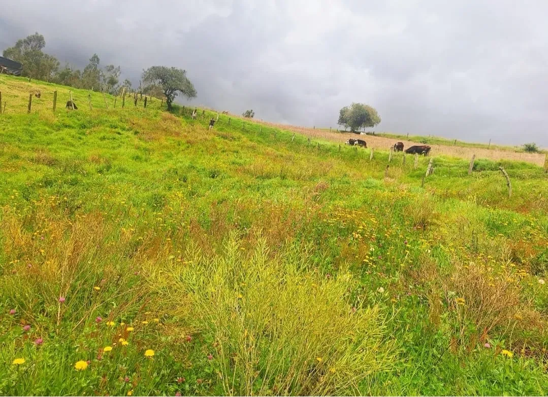 Lote campestre en venta en Ventaquemada, Boyacá — foto 3