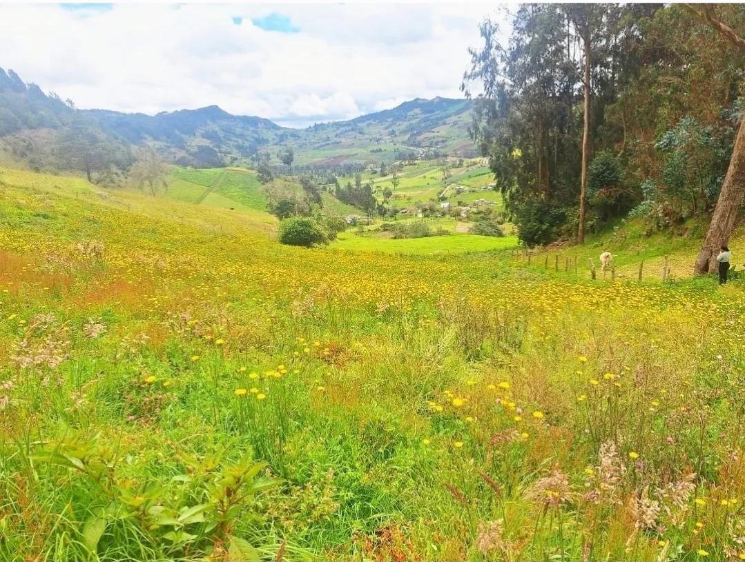 Lote campestre en venta en Ventaquemada, Boyacá — foto 4