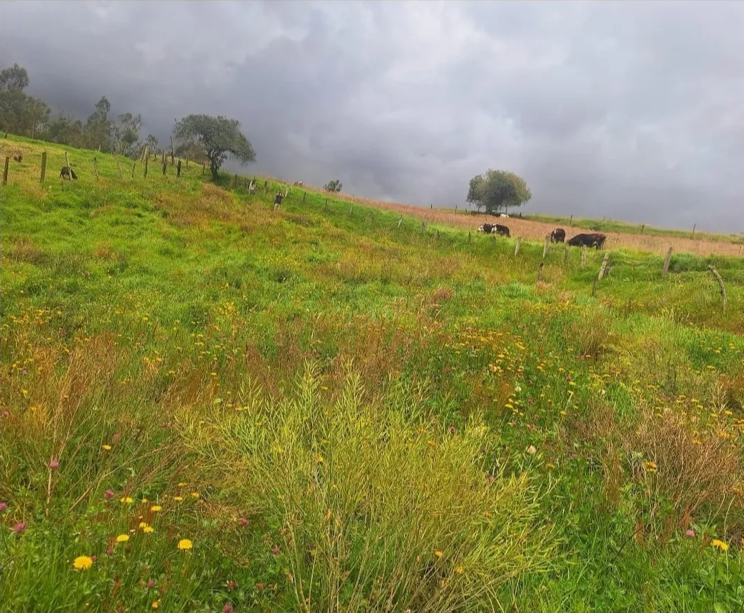 Lote campestre en venta en Ventaquemada, Boyacá — foto 2