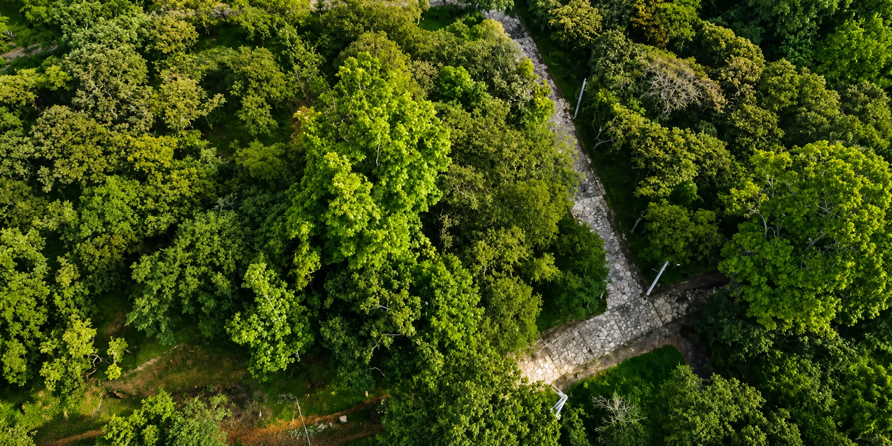 Parcela Campestre en Venta en Los Arrayanes Condominio Campestre, Curití | Lote de 1.500 m² con Casa y Zonas Comunes - 4