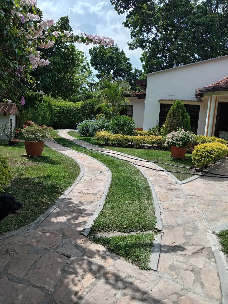 Parcela en Venta entre Floridablanca y Piedecuesta, Santander — foto 13
