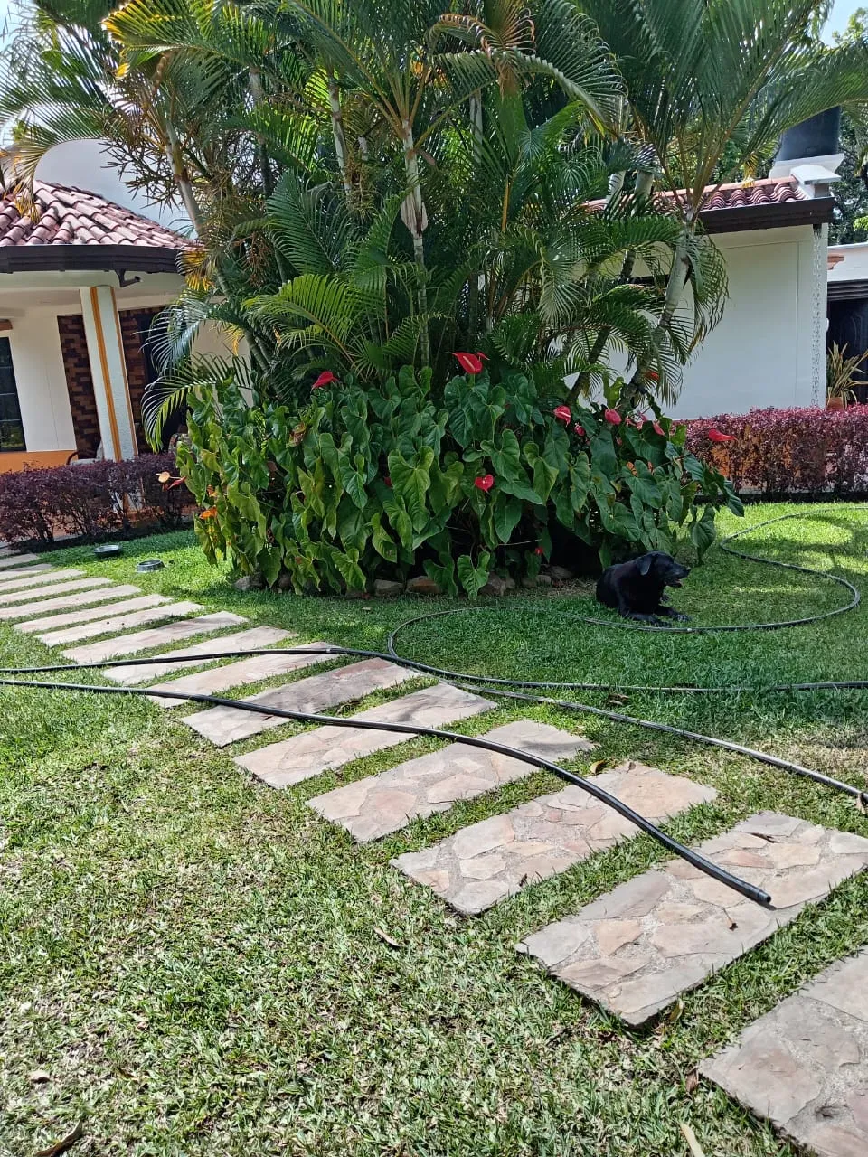Parcela en Venta entre Floridablanca y Piedecuesta, Santander — foto 14