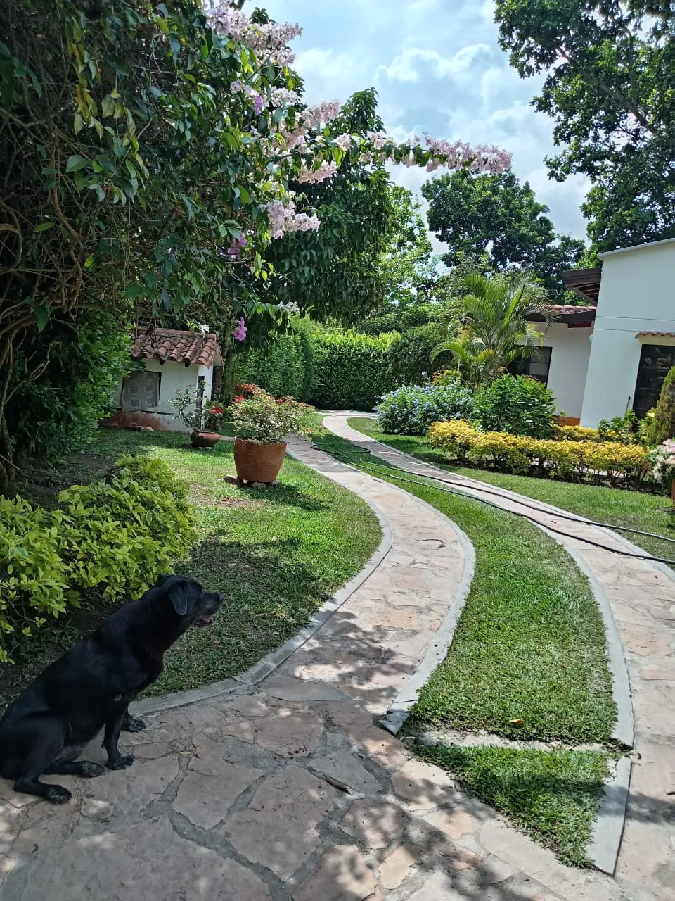 Parcela en Venta entre Floridablanca y Piedecuesta, Santander — foto 10