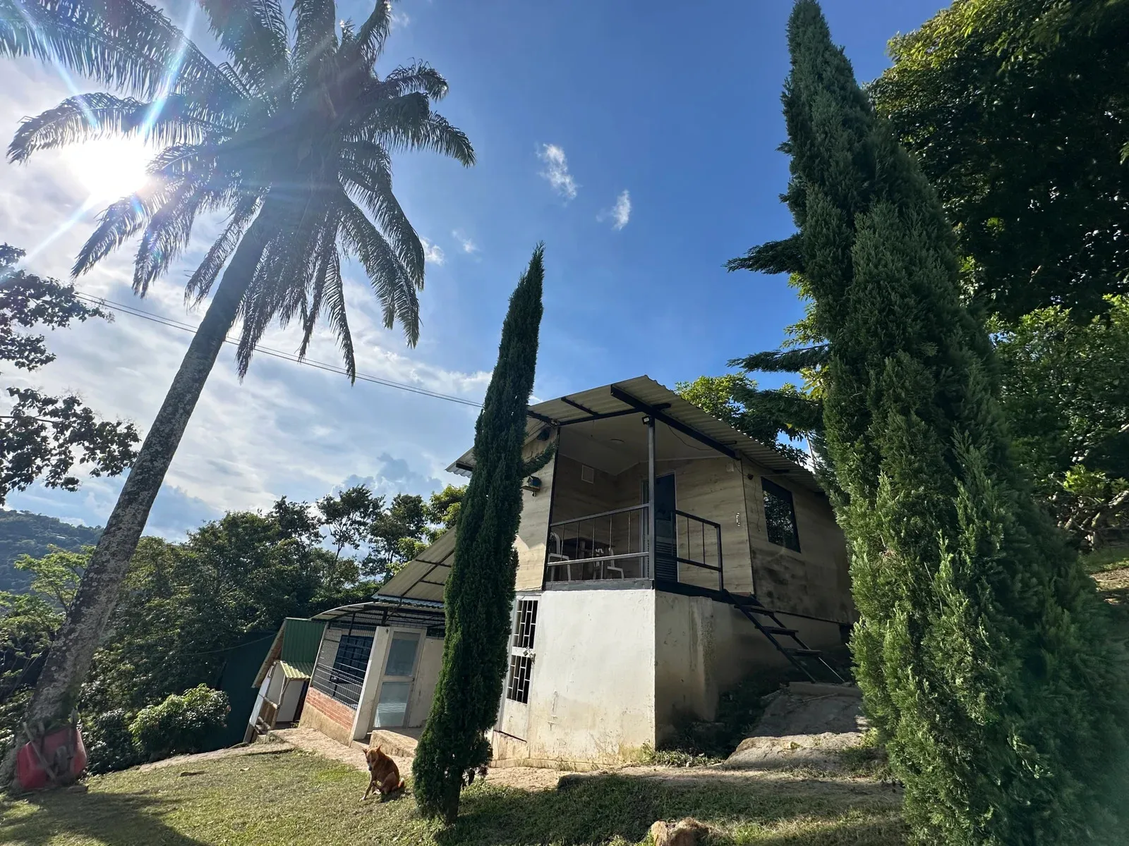PROYECTO ECOTURÍSTICO EN VENTA EN ANAPOIMA, CUNDINAMARCA CON NACEDERO DE AGUA MEDICINAL CERTIFICADA AREA TOTAL 80.000 m² - 5
