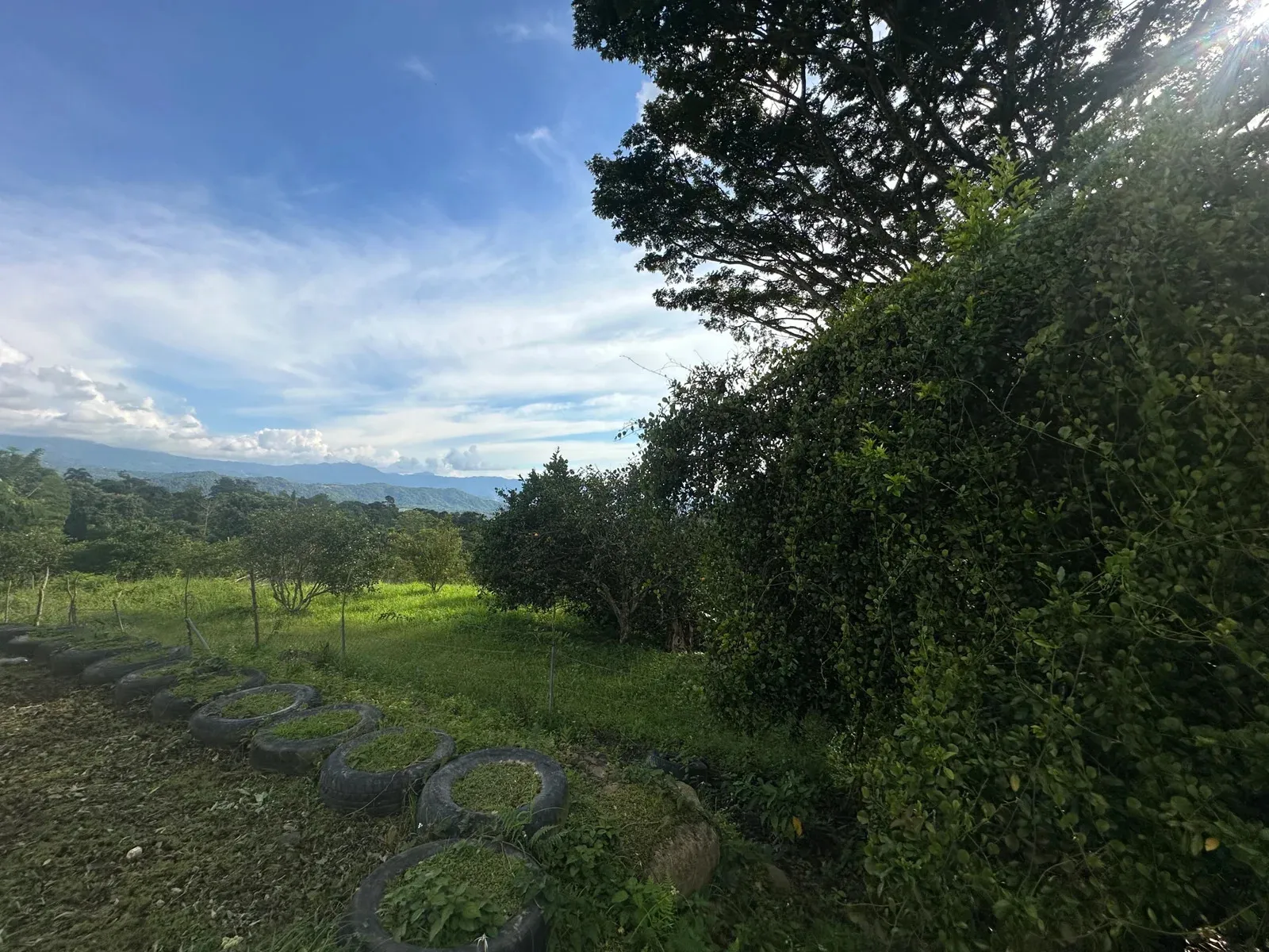 PROYECTO ECOTURÍSTICO EN VENTA EN ANAPOIMA, CUNDINAMARCA CON NACEDERO DE AGUA MEDICINAL CERTIFICADA AREA TOTAL 80.000 m² - 3