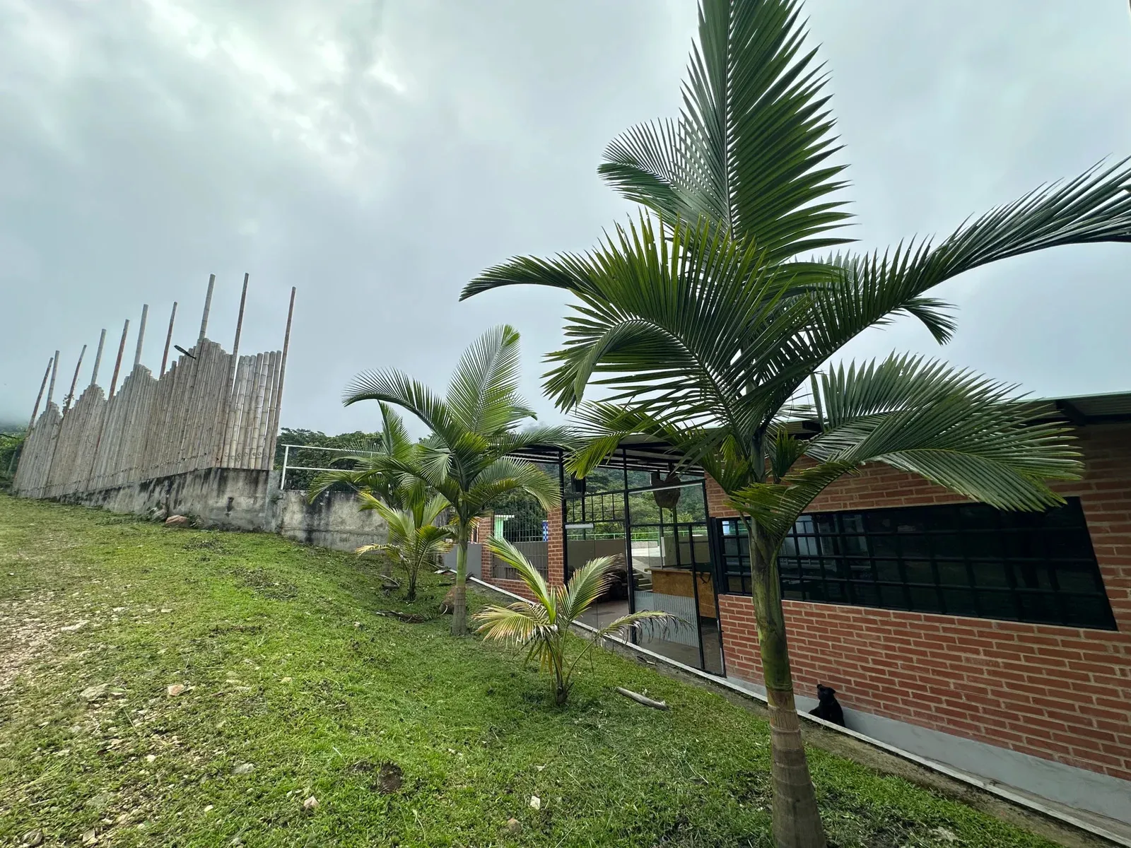 PROYECTO ECOTURÍSTICO EN VENTA EN ANAPOIMA, CUNDINAMARCA CON NACEDERO DE AGUA MEDICINAL CERTIFICADA AREA TOTAL 80.000 m² - 12