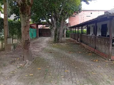 Miniatura 9