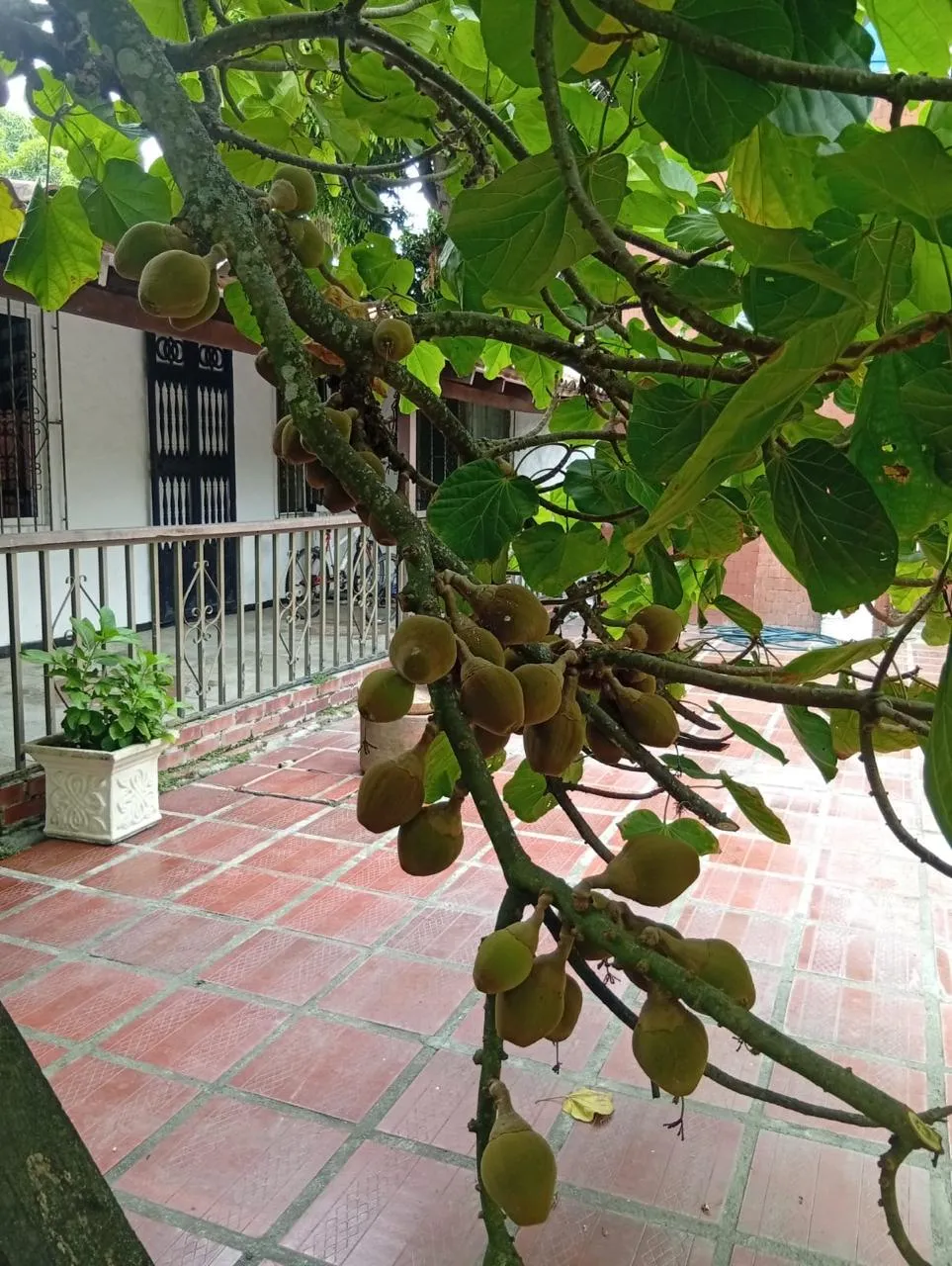 Casa Campestre en Venta o Alquiler en Rozo La Torre — foto 6