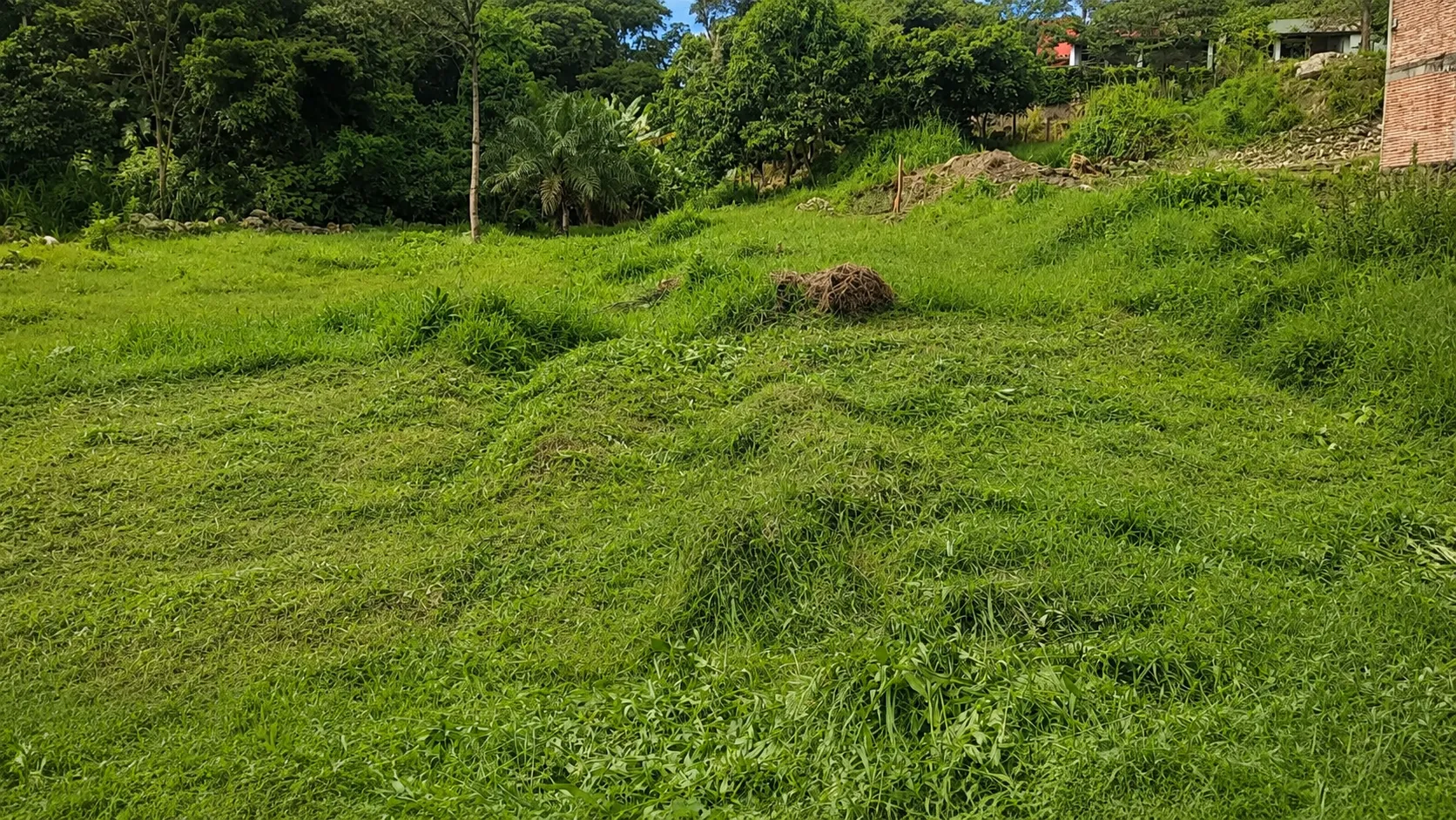 Lotes Urbanos en Venta en Bochalema, Norte de Santander - 2