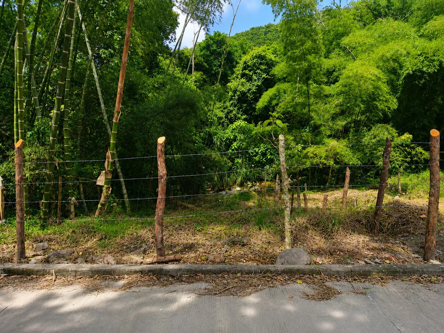 Lotes Urbanos en Venta en Bochalema, Norte de Santander - 4