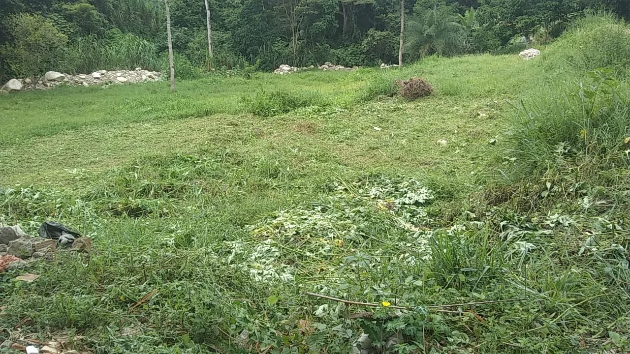 Lotes Urbanos en Venta en Bochalema, Norte de Santander - 15