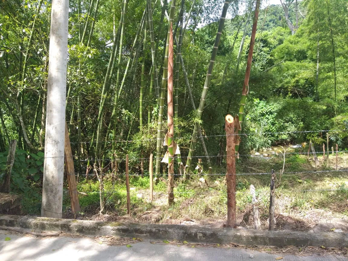 Lotes Urbanos en Venta en Bochalema, Norte de Santander - 9