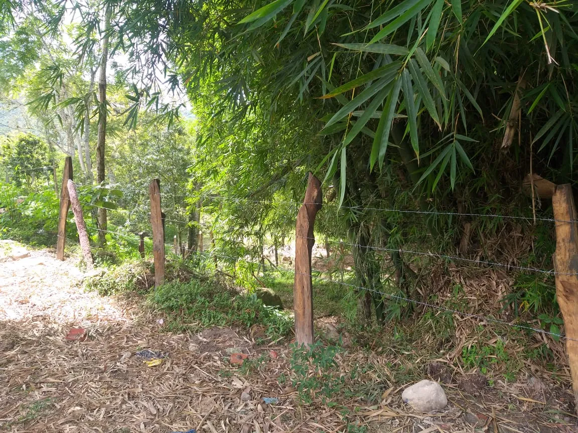 Lotes Urbanos en Venta en Bochalema, Norte de Santander - 12
