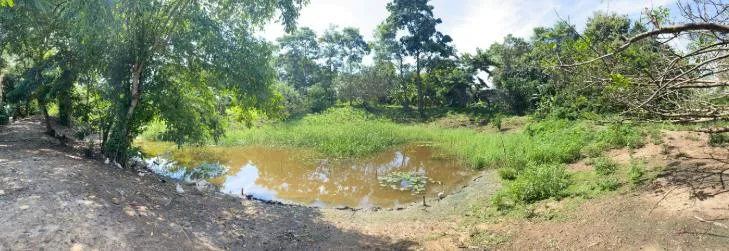 Venta de Terreno en Bayunca, Cartagena de Indias — foto 10