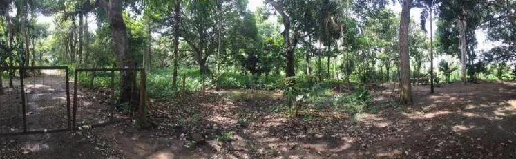 Venta de Terreno en Bayunca, Cartagena de Indias — foto 6