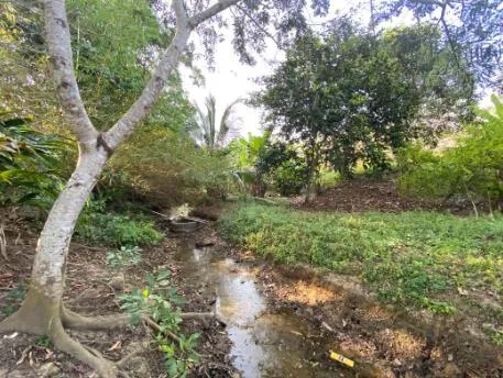 Venta de Terreno en Bayunca, Cartagena de Indias — foto 8