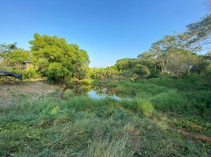 Venta de Terreno en Bayunca, Cartagena de Indias — foto 9