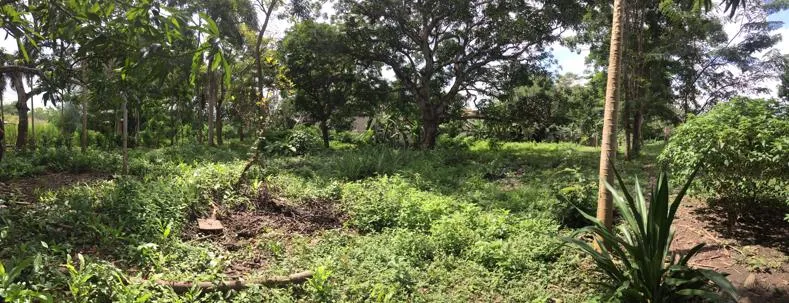 Venta de Terreno en Bayunca, Cartagena de Indias — foto 4