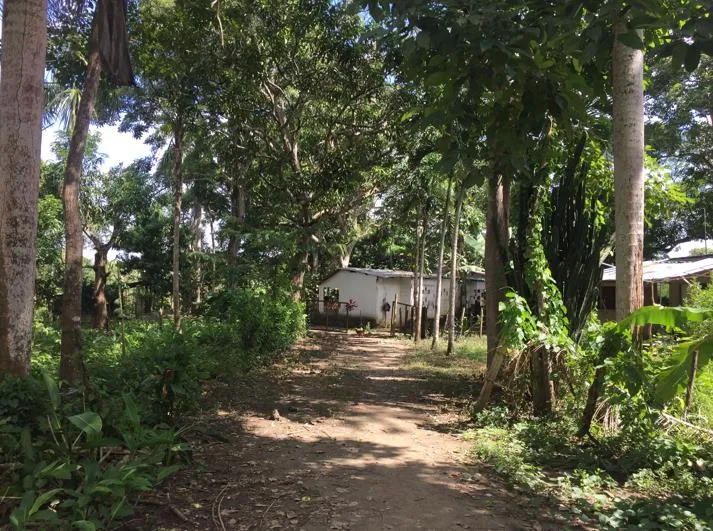 Venta de Terreno en Bayunca, Cartagena de Indias — foto 5