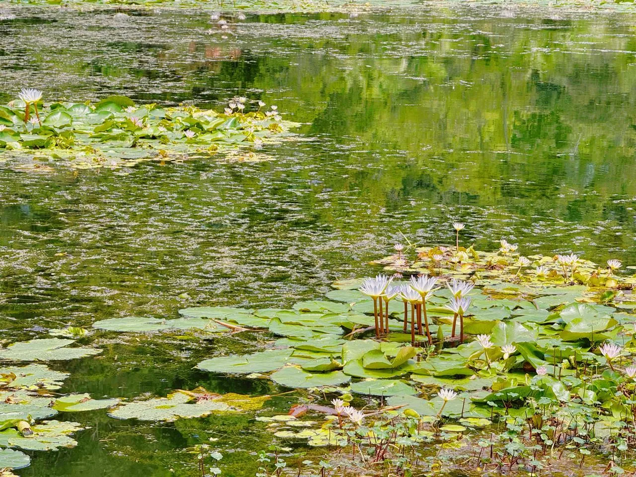 Venda Casa Campestre, Ubaque, Laguna de Ubaque - 9