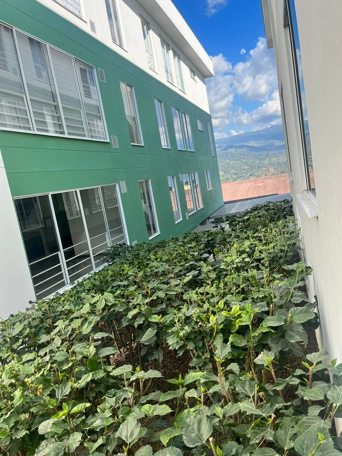 Arriendo Apartamento Conjunto Cerrado, Choachi - 14
