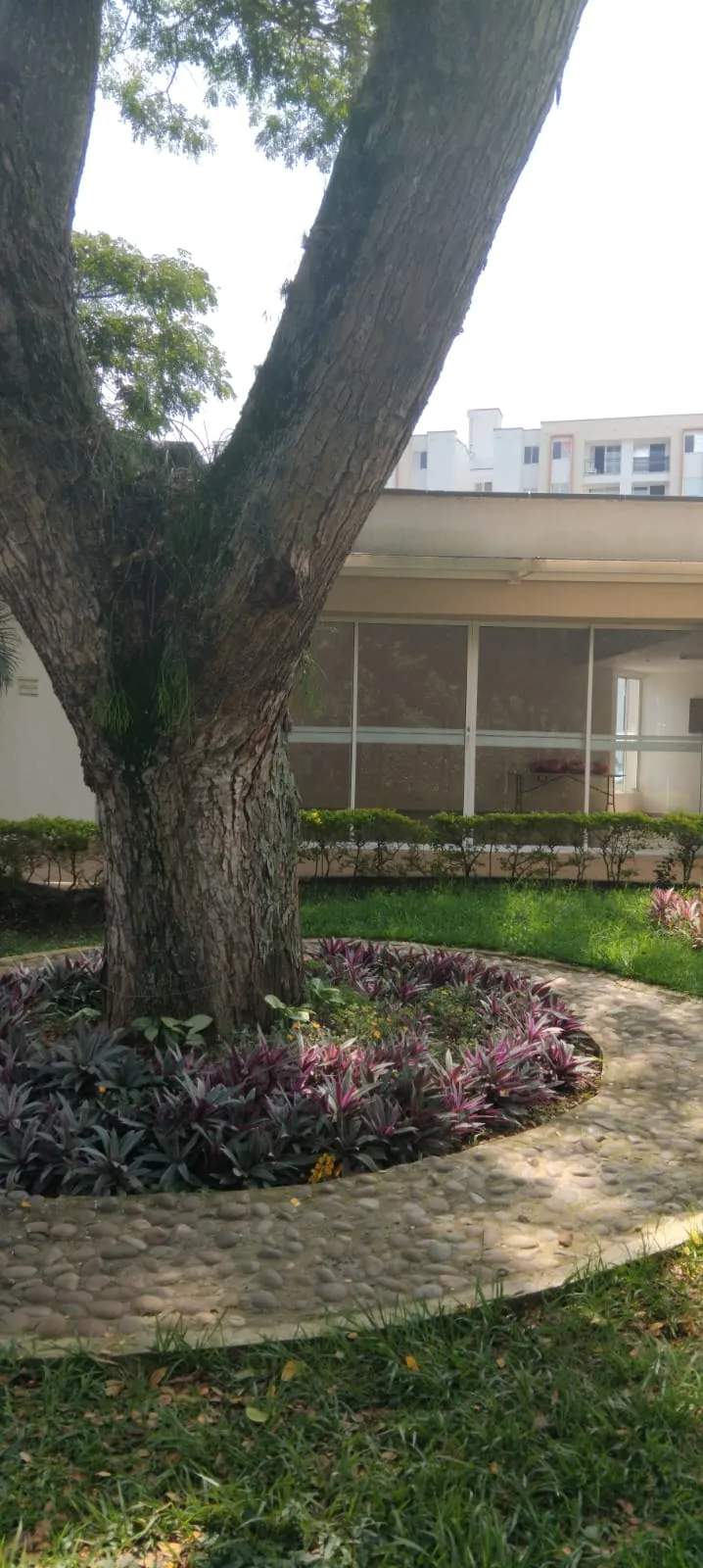 VENTA APARTAMENTO Edificio Cielos Barrio Ciudad Pacífica Cali - 10