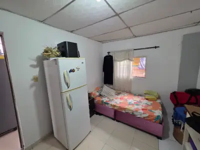Miniatura 7