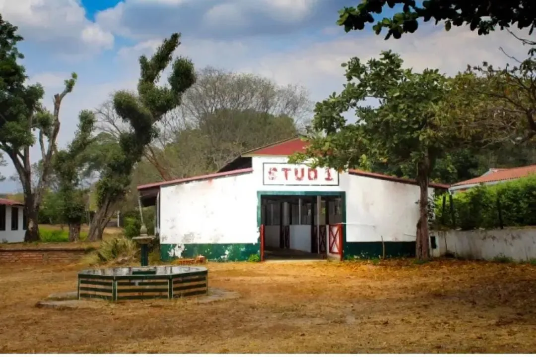 VENDO HERMOSO LOTE EN TOCAIMA - CUNDINAMARCA - 9