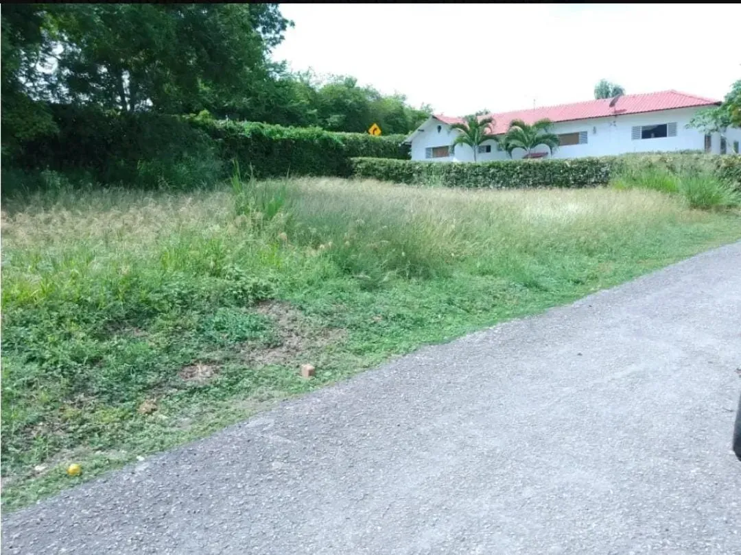 VENDO HERMOSO LOTE EN TOCAIMA - CUNDINAMARCA CONDOMINIO CAMPESTRE — foto 7