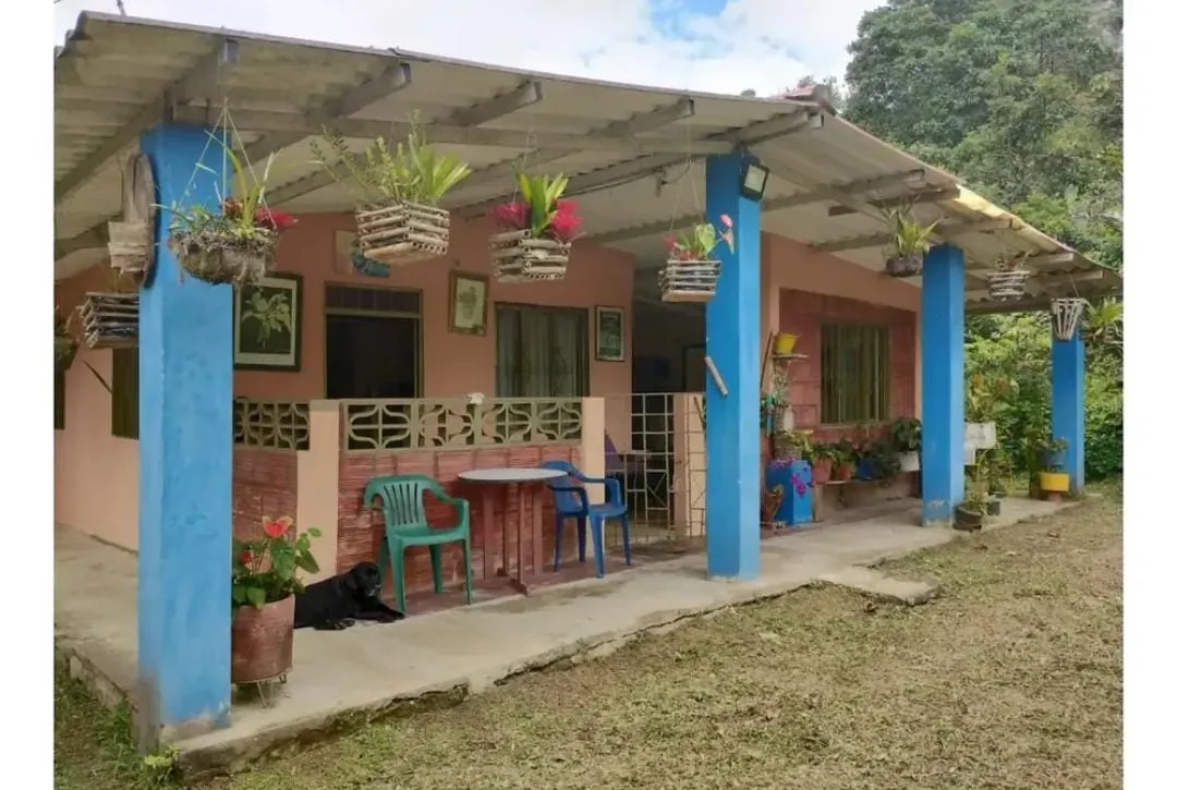 VENDO FINCA PEQUEÑA EN SAN FRANCISCO CUNDINAMARCA — foto 9