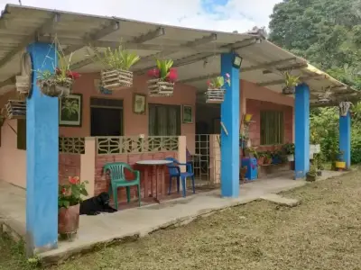 Miniatura 9