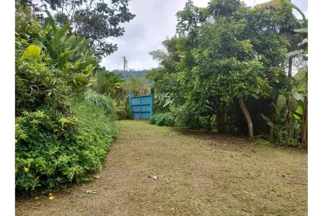 VENDO FINCA PEQUEÑA EN SAN FRANCISCO CUNDINAMARCA — foto 7
