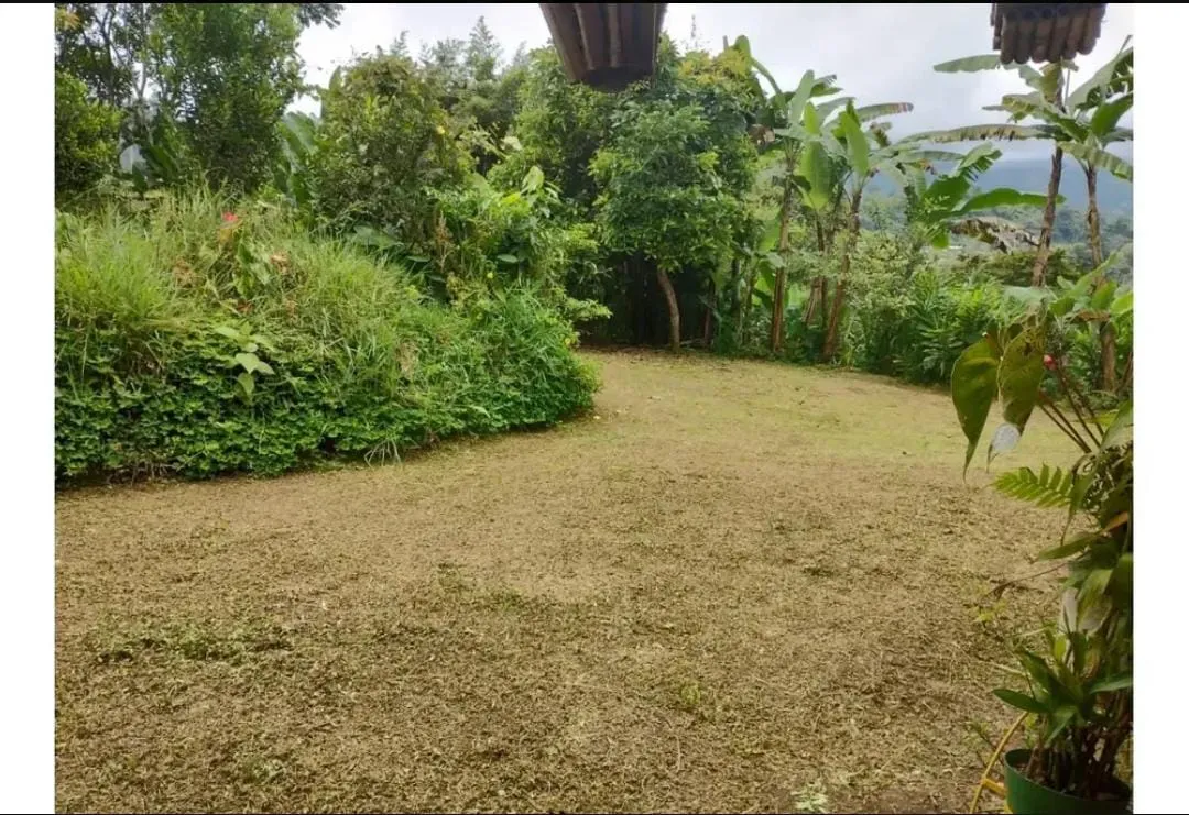 VENDO FINCA PEQUEÑA EN SAN FRANCISCO CUNDINAMARCA — foto 4
