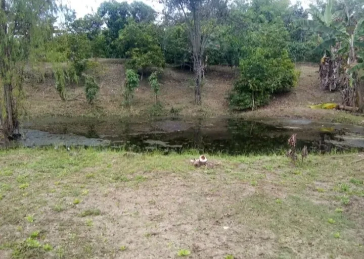 VENDO HERMOSA FINCA CON GLAMPING PARA REMODELAR - 19