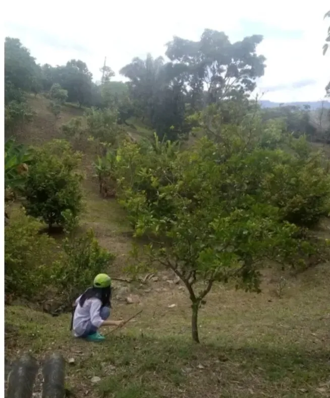 VENDO HERMOSA FINCA CON GLAMPING PARA REMODELAR - 5