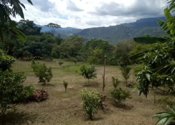 VENDO HERMOSA FINCA CON GLAMPING PARA REMODELAR - 10
