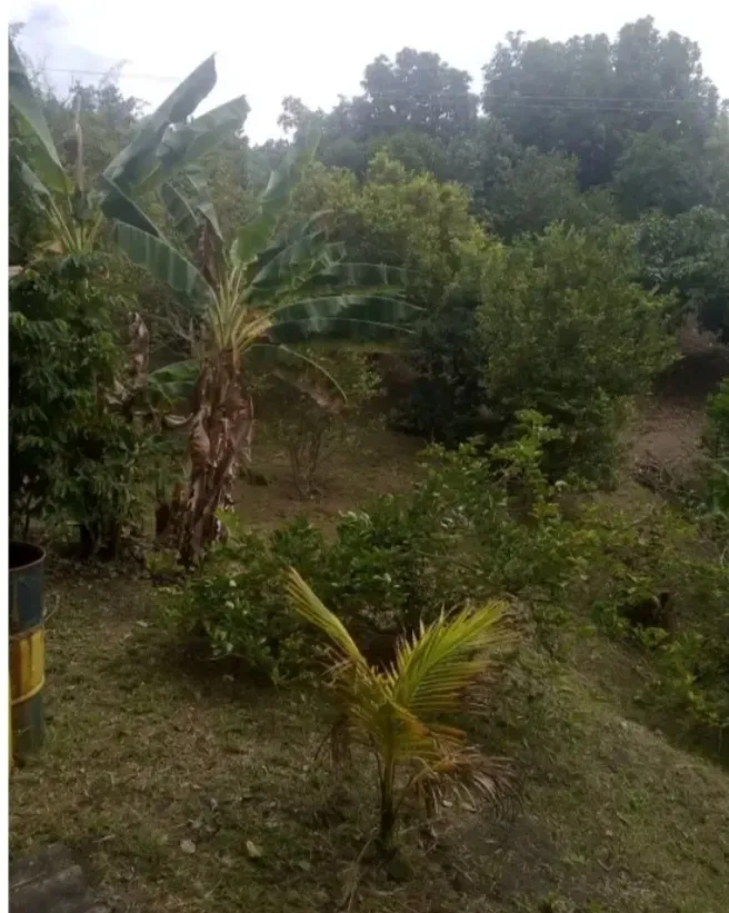 VENDO HERMOSA FINCA CON GLAMPING PARA REMODELAR - 14