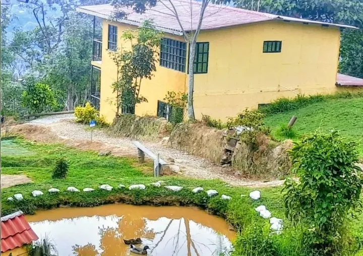 VENDO HERMOSA FINCA CON GLAMPING PARA REMODELAR - 11