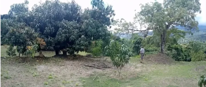 VENDO HERMOSA FINCA CON GLAMPING PARA REMODELAR - 7