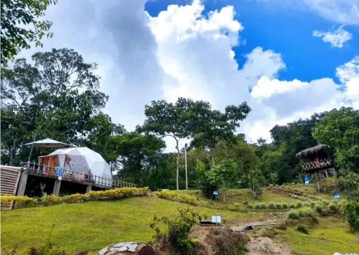 VENDO HERMOSA FINCA CON GLAMPING PARA REMODELAR - 1