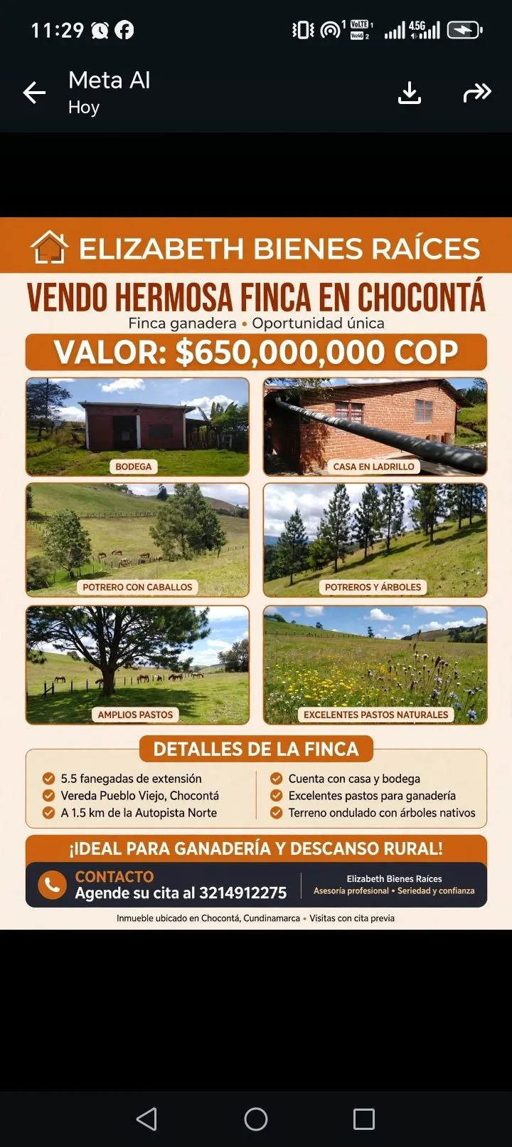VENDO HERMOSA FINCA EN CHOCONTA - 11