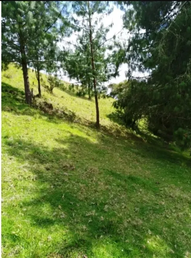 VENDO HERMOSA FINCA EN CHOCONTA - 9