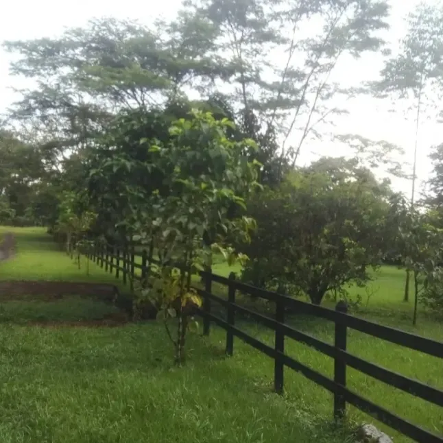 VENDO HERMOSO LOTE PUERTO LOTE DE 7167 - 3