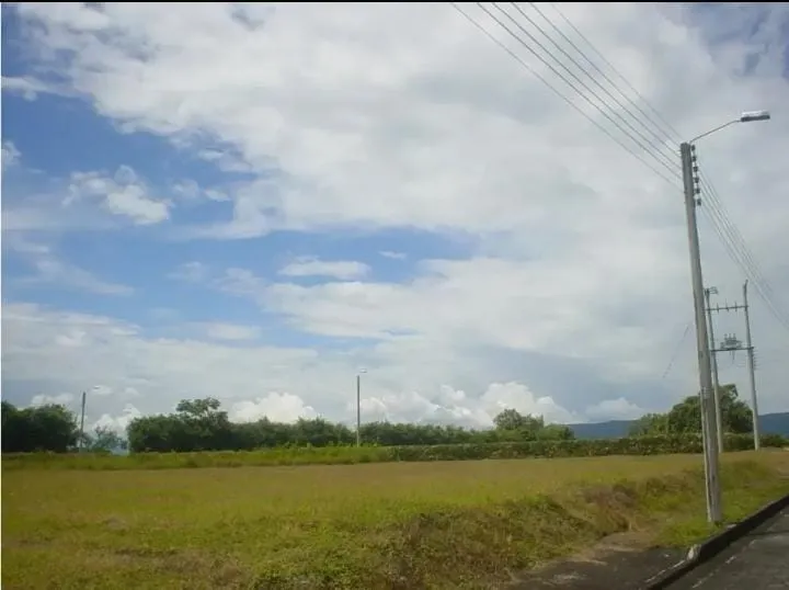 VENDO HERMOSO LOTE CONDOMINIO SANTA ANA FLANDES TOLIMA - 3